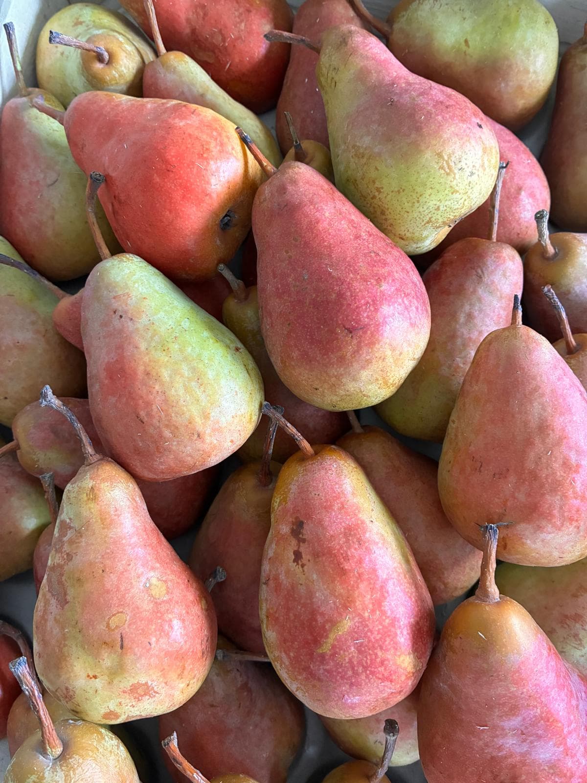 Poire Grafin rouge