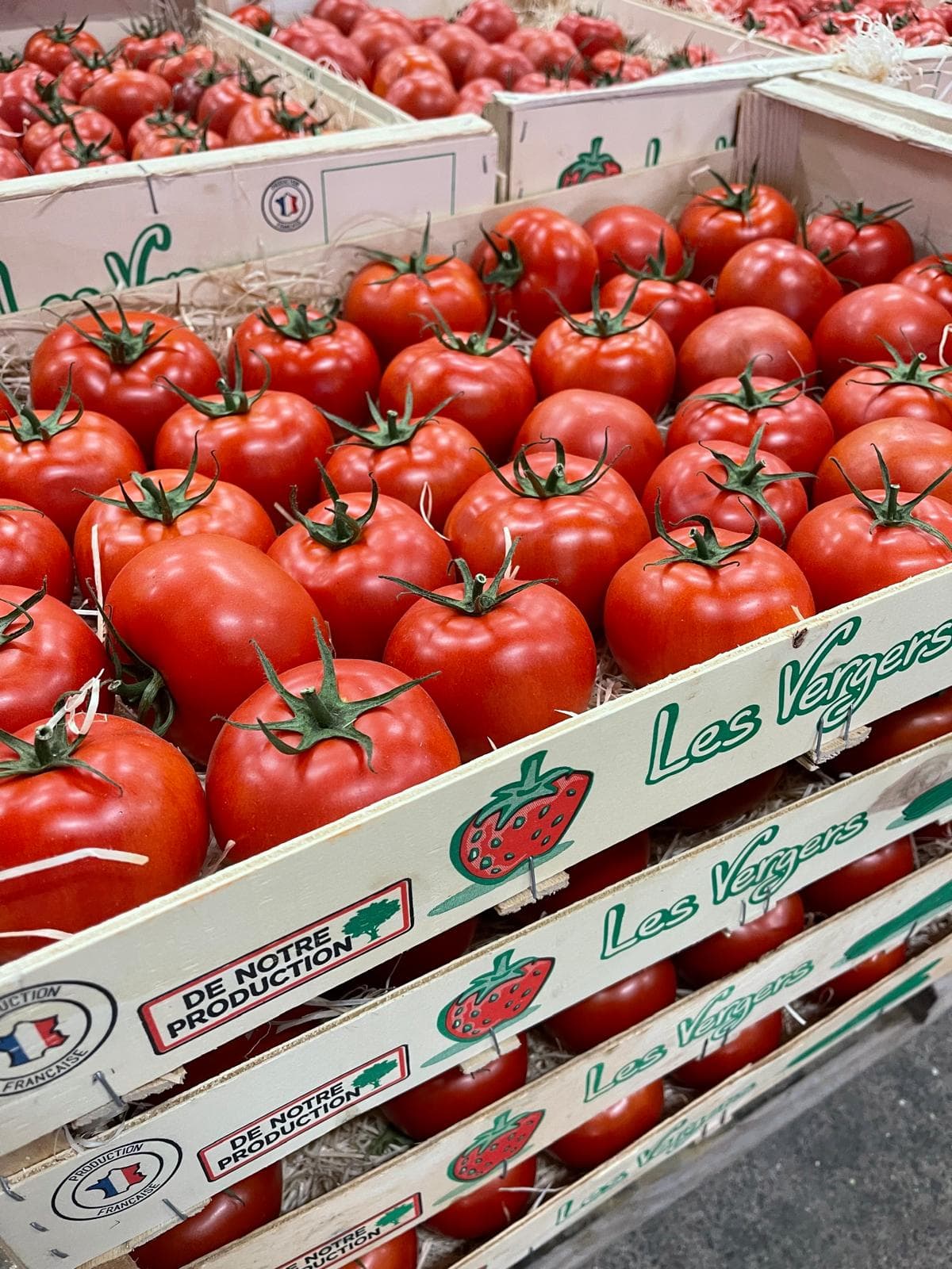 Tomate ronde