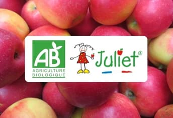 Les amis de Juliet